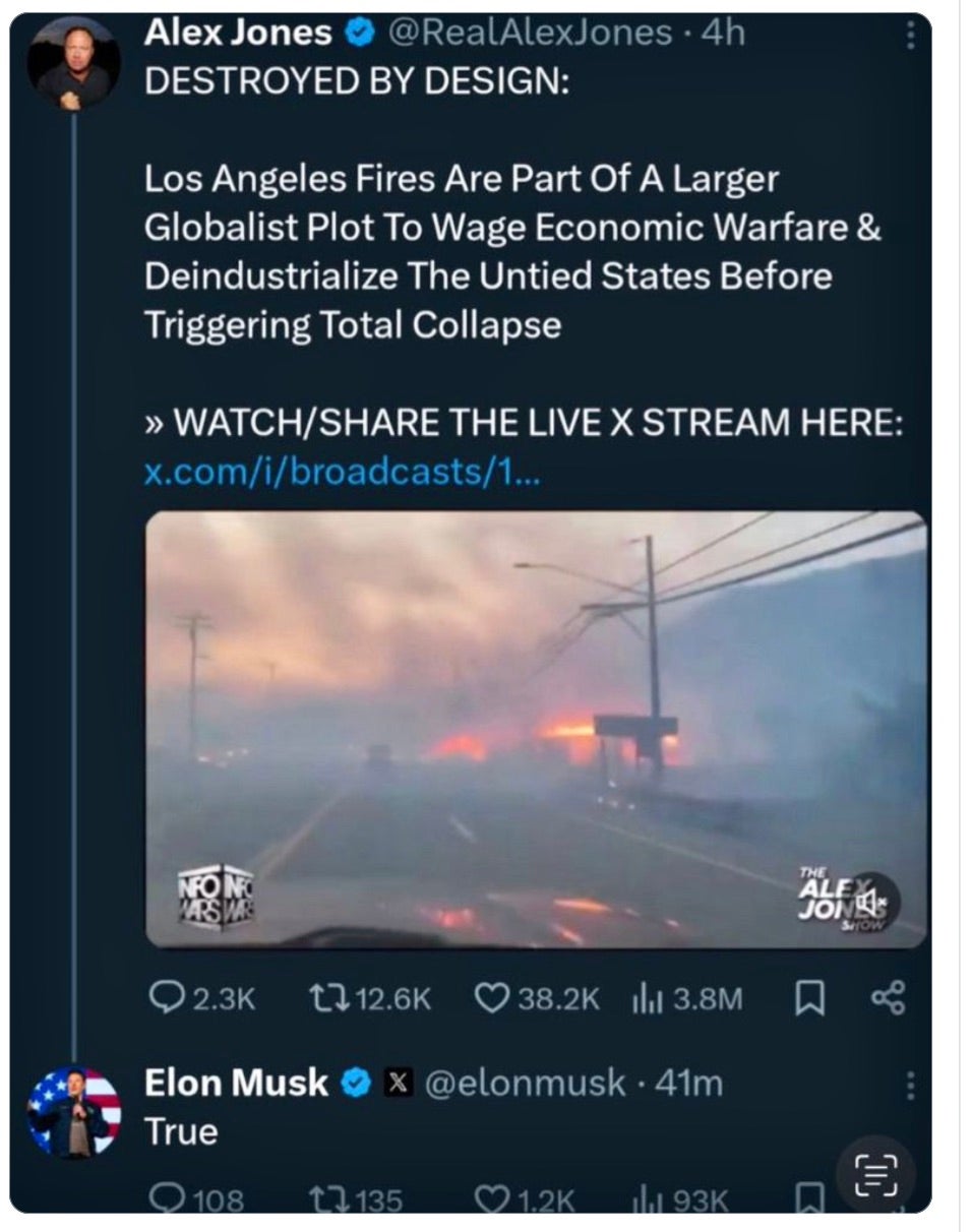 Extremist podcaster Alex Jones and Elon Musk are on the same page on theory that Los Angeles fires are part of a ‘globalist plot’ to topple America