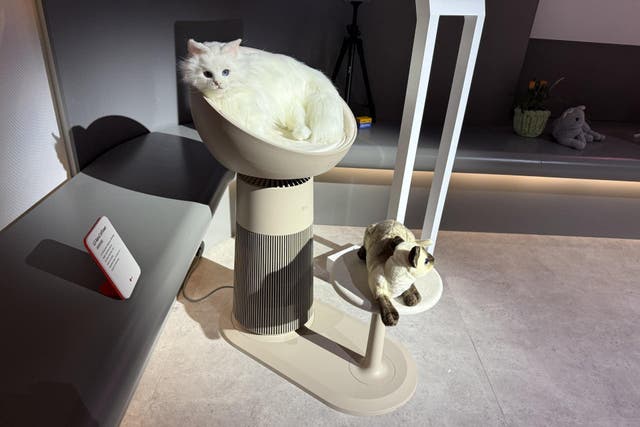 LG AeroCatTower (Martyn Landi/PA)