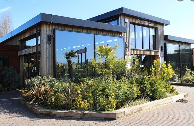 <p>Colchester Zoo have been left devastated after a zebra died following an incident with a rhino</p>