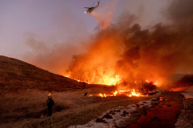 <p>Fire crews battle the Kenneth Fire in the West Hills section of Los Angeles,Thursday. </p>