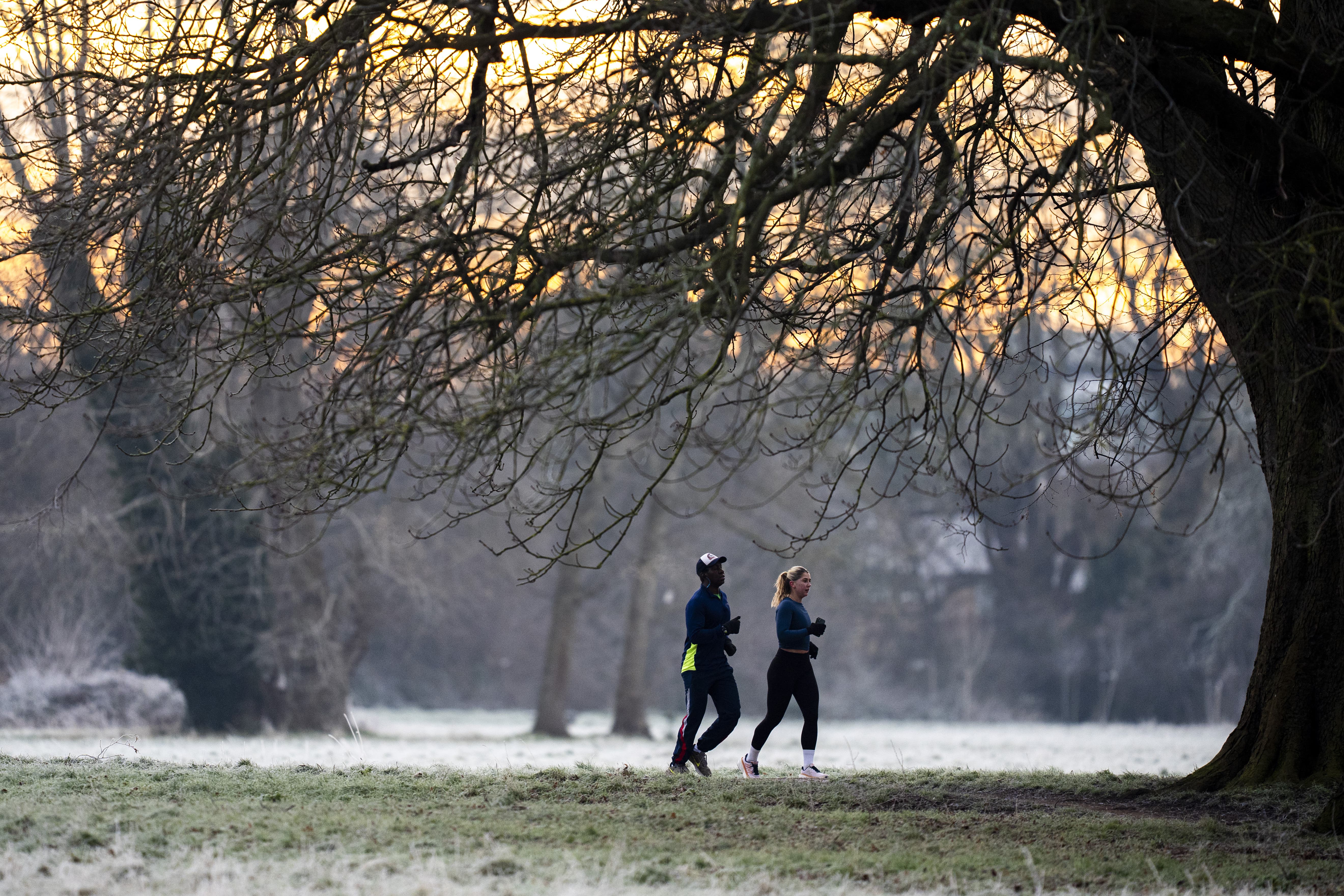 Runners in Morden Hall Park in south London (Ben Whitley/PA)