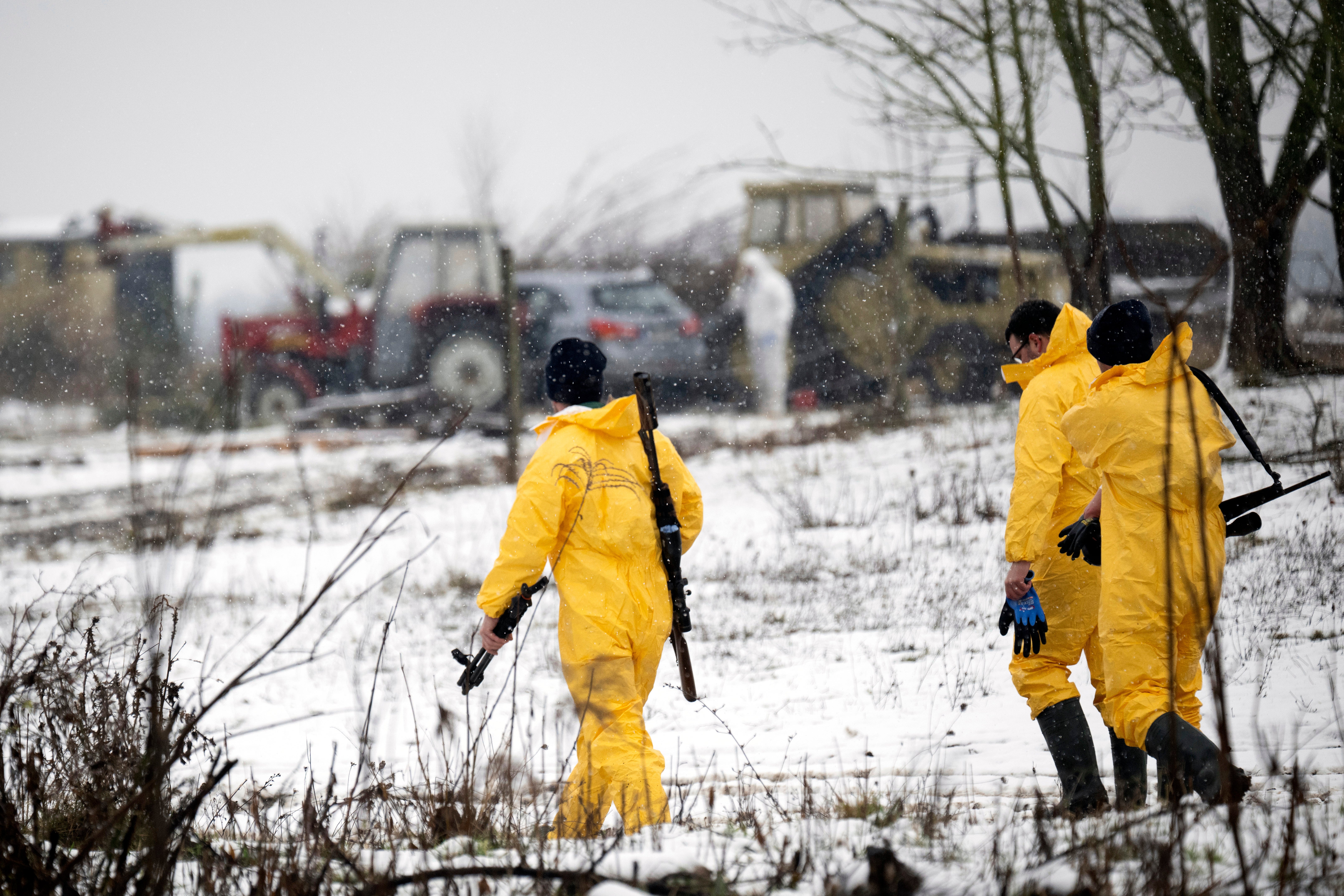 Germany Foot and Mouth Disease