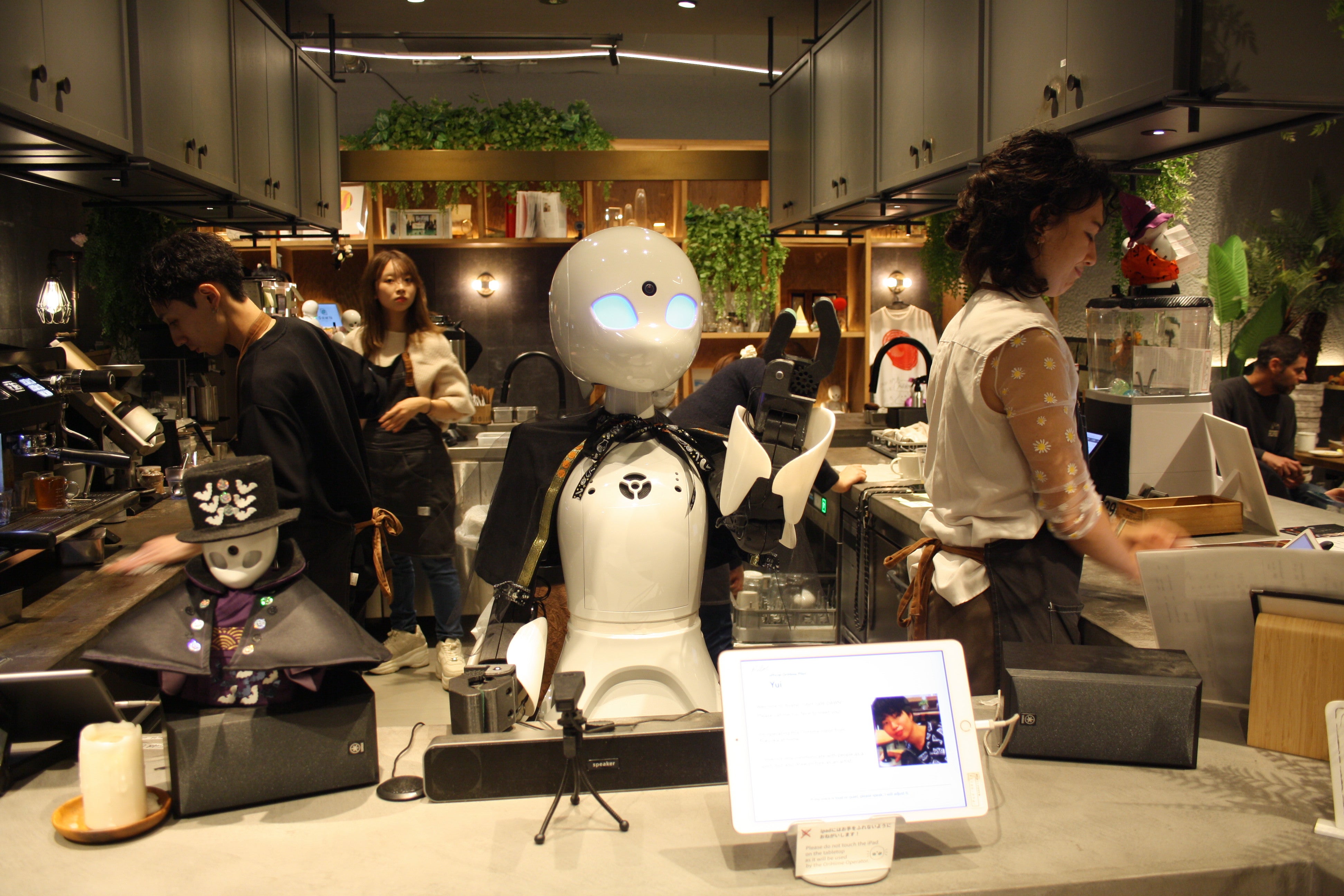 Customers arriving at Dawn cafe in Tokyo are greeted by an OriHime robot avatar