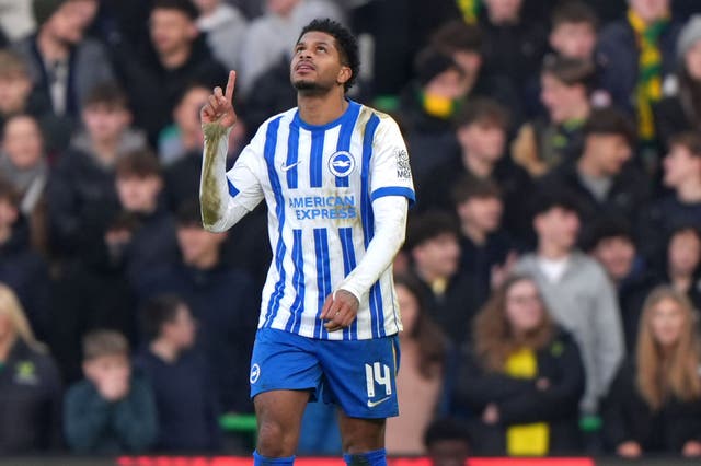 Georginio Rutter celebrates scoring for Brighton at Norwich (Joe Giddens/PA)