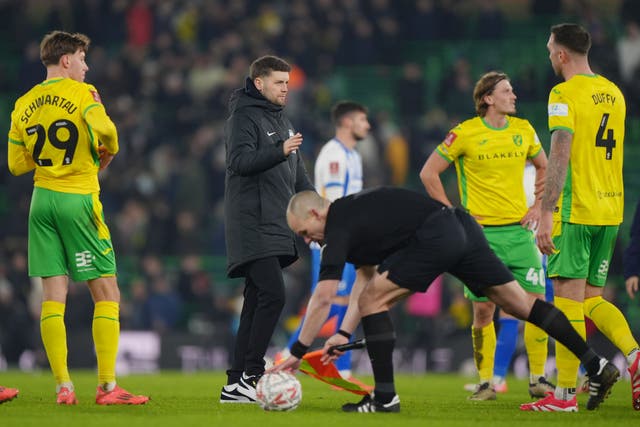 Brighton manager Fabian Hurzeler was pleased with the win over Norwich (Joe Giddens/PA)