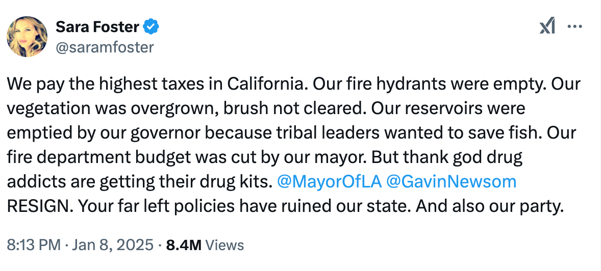 Sara Foster slams Mayor Karen Bass and California Governor Gavin Newsom amid ongoing Los Angeles wildfires