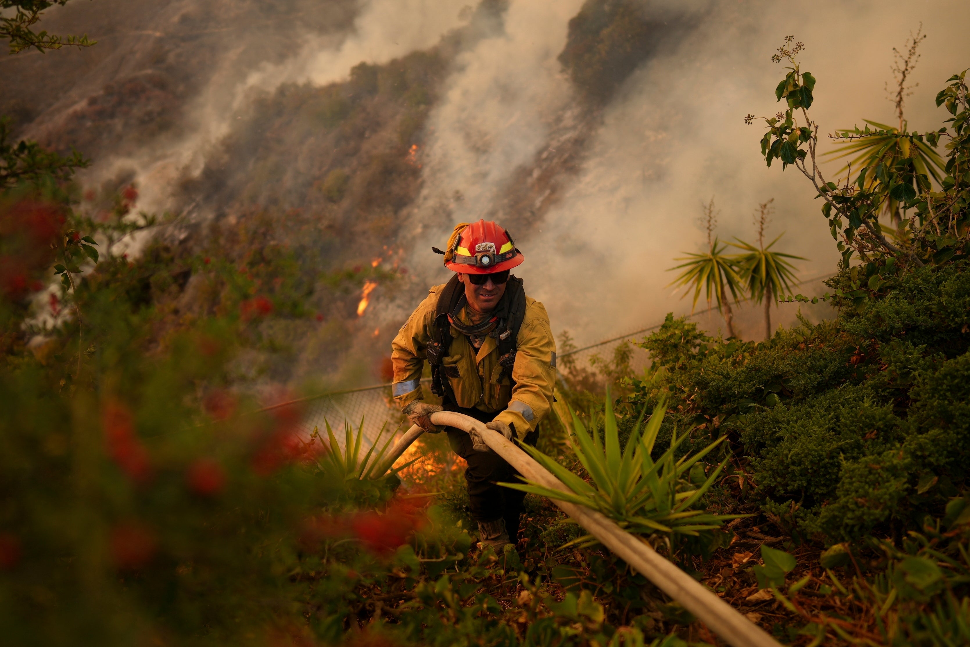 A firefighter sets up a hose while fighting the Palisades fire in Mandeville Canyon on January 11