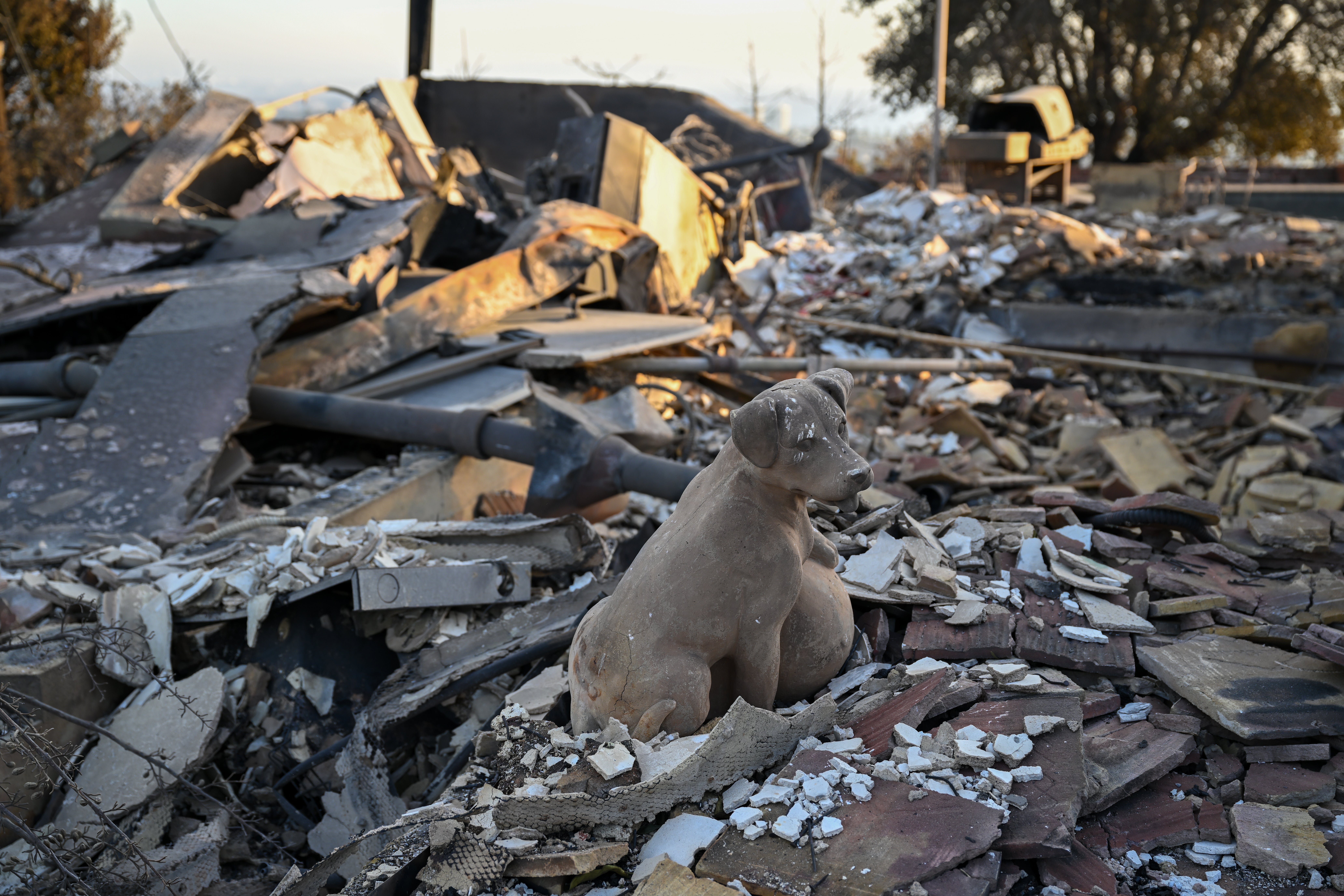 A view of dog statue after burned a house in Pacific Palisades neighborhood during Palisades wildfire in Los Angeles, California, United States on January 11, 2025