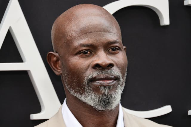 <p>Actor Djimon Hounsou, photographed in 2024</p>