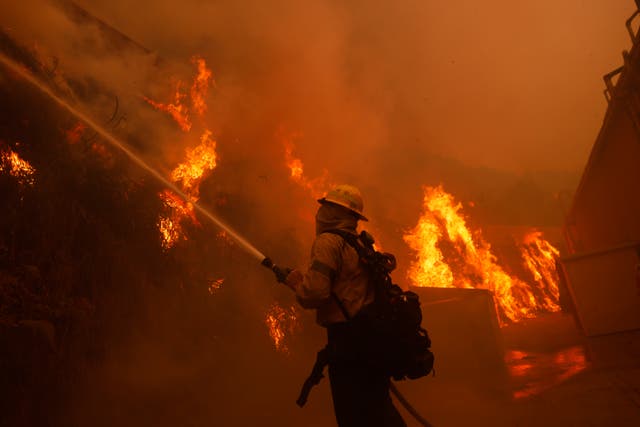 <p>A firefighter battles the advancing Palisades Fire in Los Angeles on Tuesday January 7, the first day of the disaster</p>