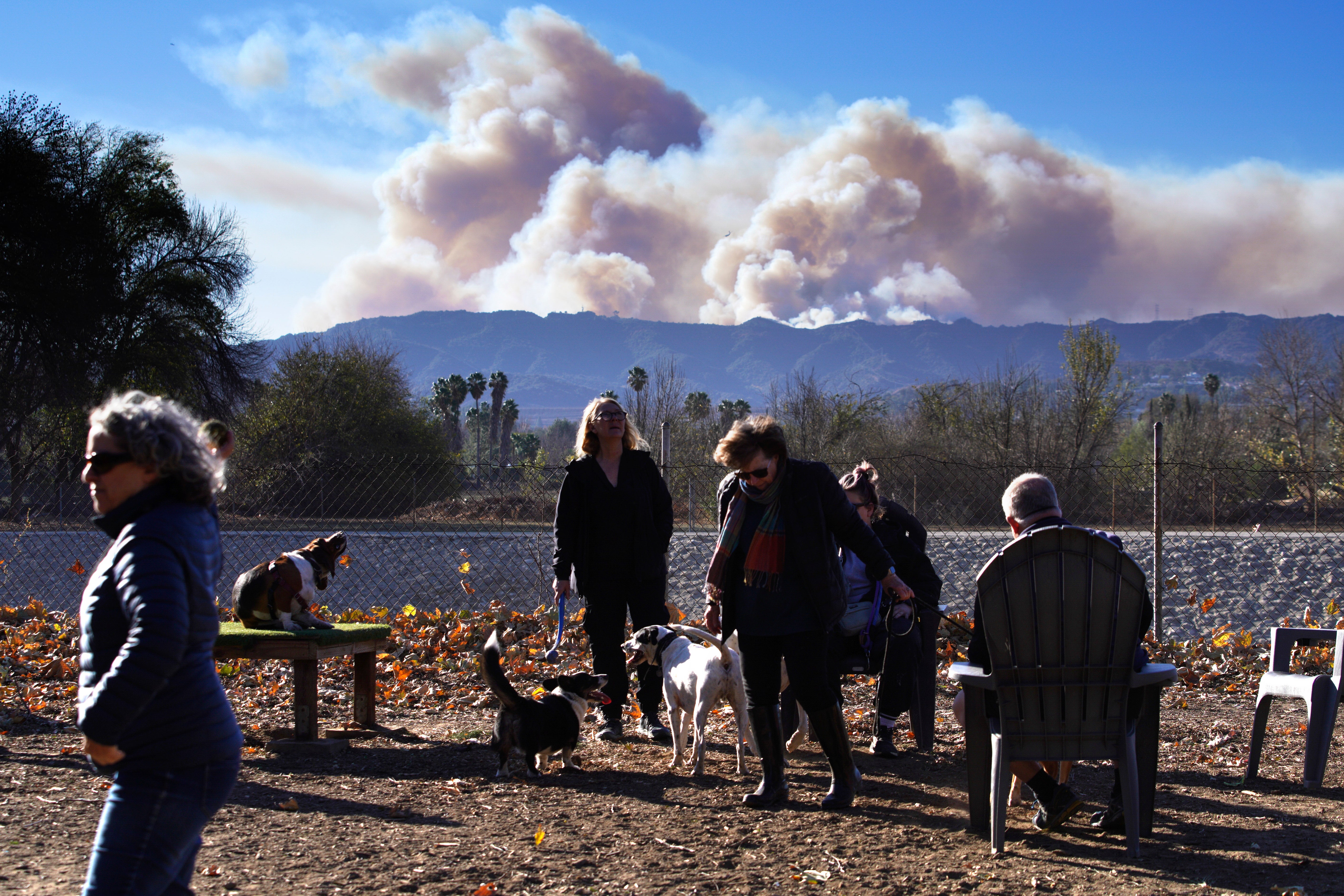 Residents and their dogs look ahead as smoke from the Palisades Fire rises over a ridge in the Encino section of Los Angeles, California on Saturday. The blaze is still only 14 percent contained