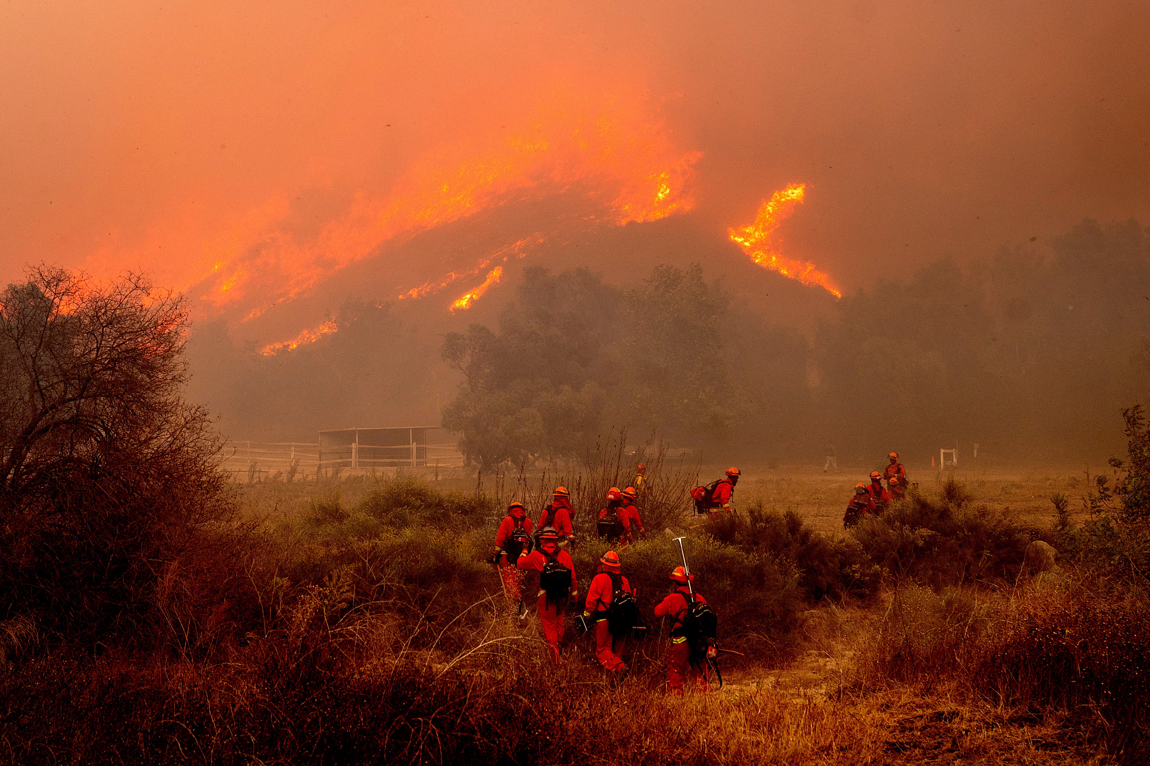 The sweeping fires in California have killed 24 people, ravaged communities, and sent thousands frantically fleeing their properties, including areas dotted with celebrity homes (Noah Berger/AP)