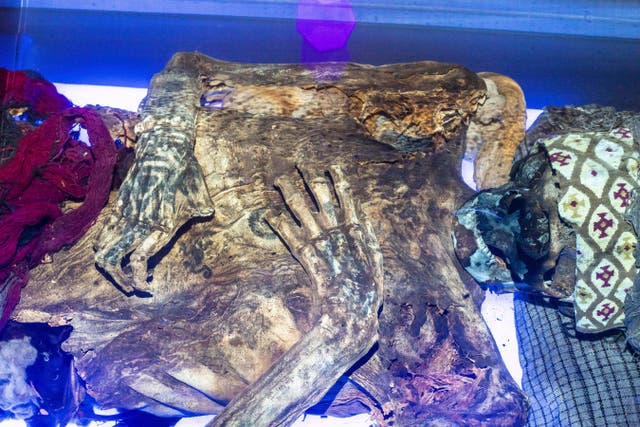 <p>This August 2024 photo provided by researchers shows a mummified human from Peru's Chancay culture using laser-stimulated fluorescence. (Tom Kaye via AP)</p>