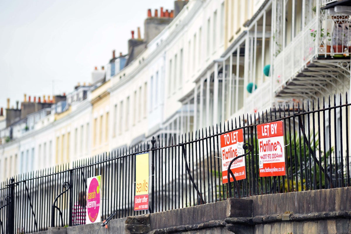 ‘Not enough’ landlords to cater to students and immigrants, Paragon boss warns