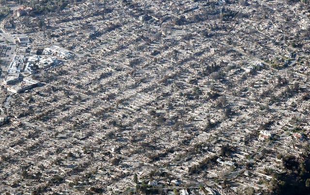 <p>An aerial view of homes destroyed in the Palisades Fire </p>