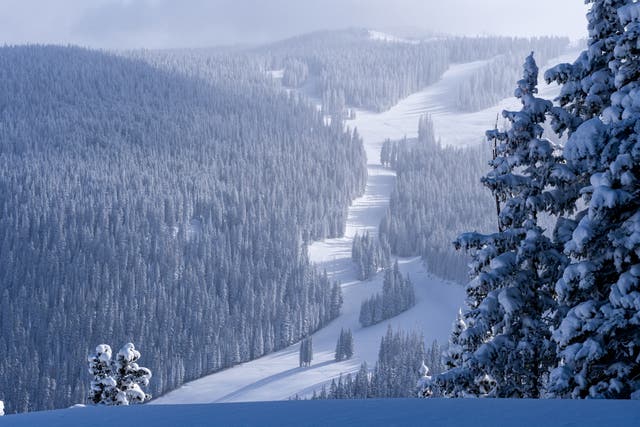 <p>Experience some of the most luxurious ski experiences around the world with these packages and deals this winter</p>