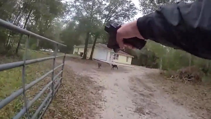 <p>Bodycam: Police chase dogs that attacked and killed eight-year-old boy in Florida.</p>