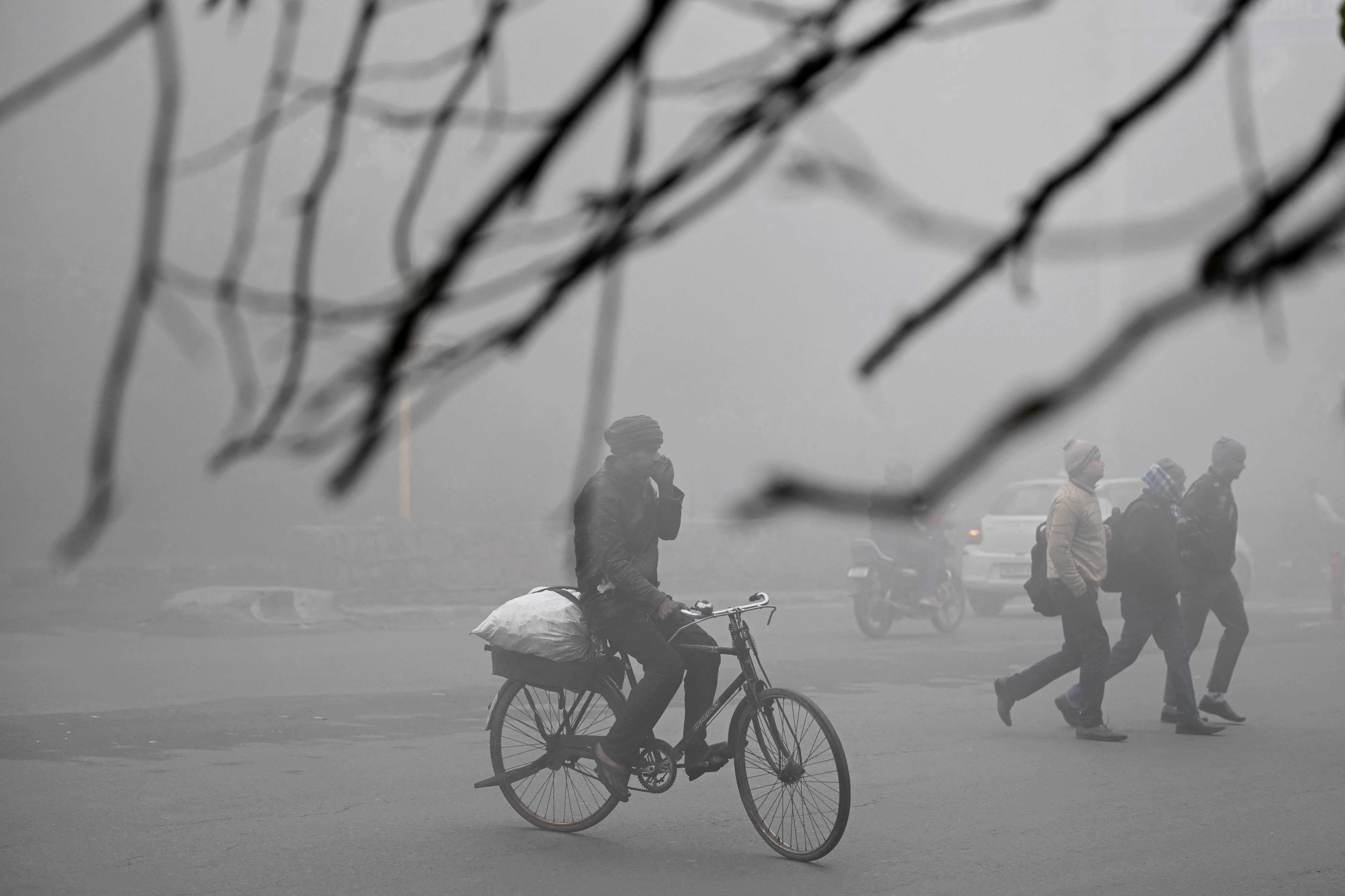 <p>A cyclist peddles along a road amid dense fog on a cold winter morning in New Delhi, India</p>
