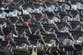 Baby Boomers hold more than half of the UK’s housing wealth