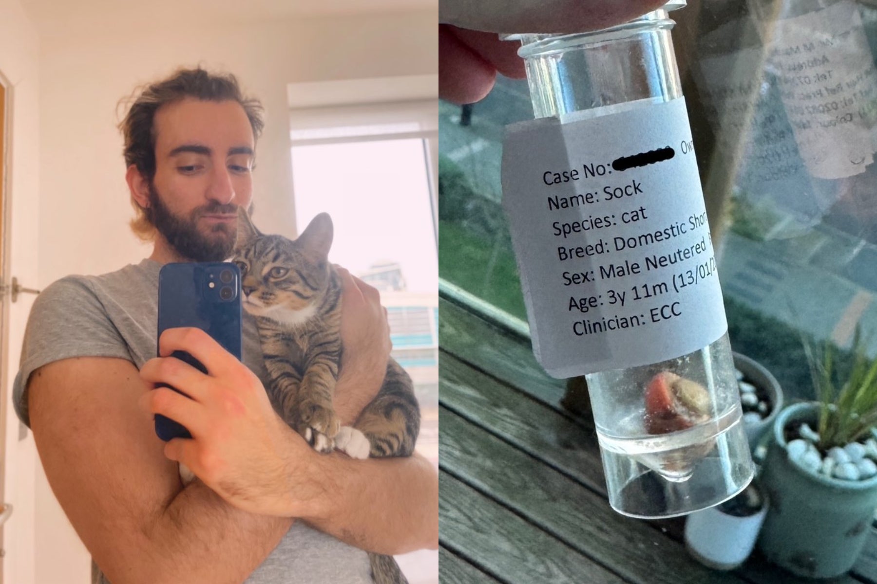 Cat owner forced to sell Taylor Swift memorabilia to help cover huge vet bill