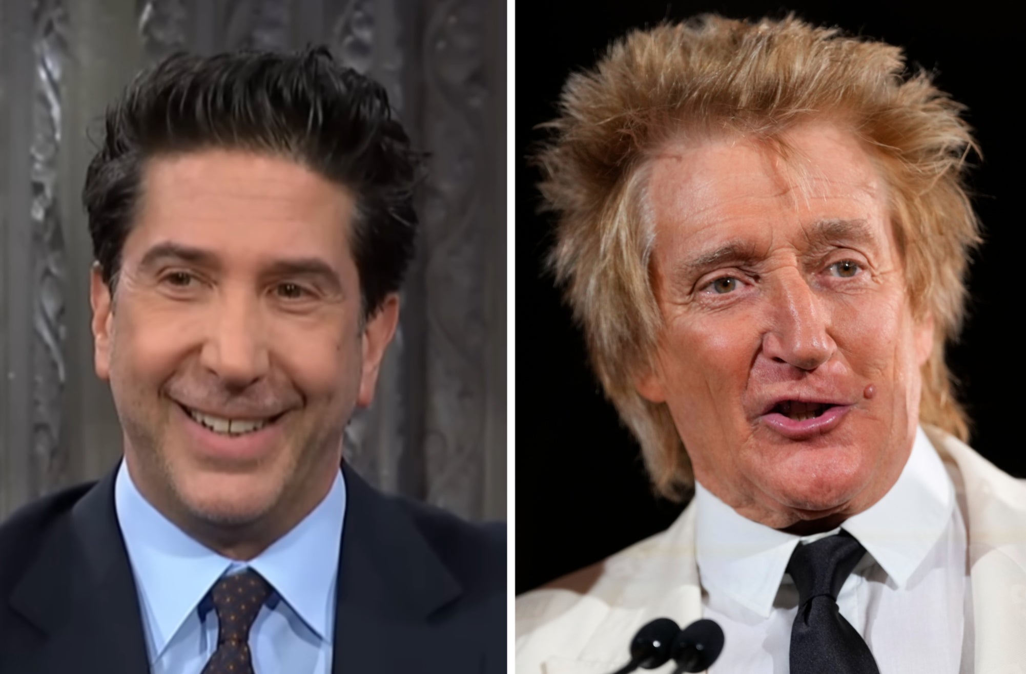 David Schwimmer says he once served Rod Stewart with divorce papers 