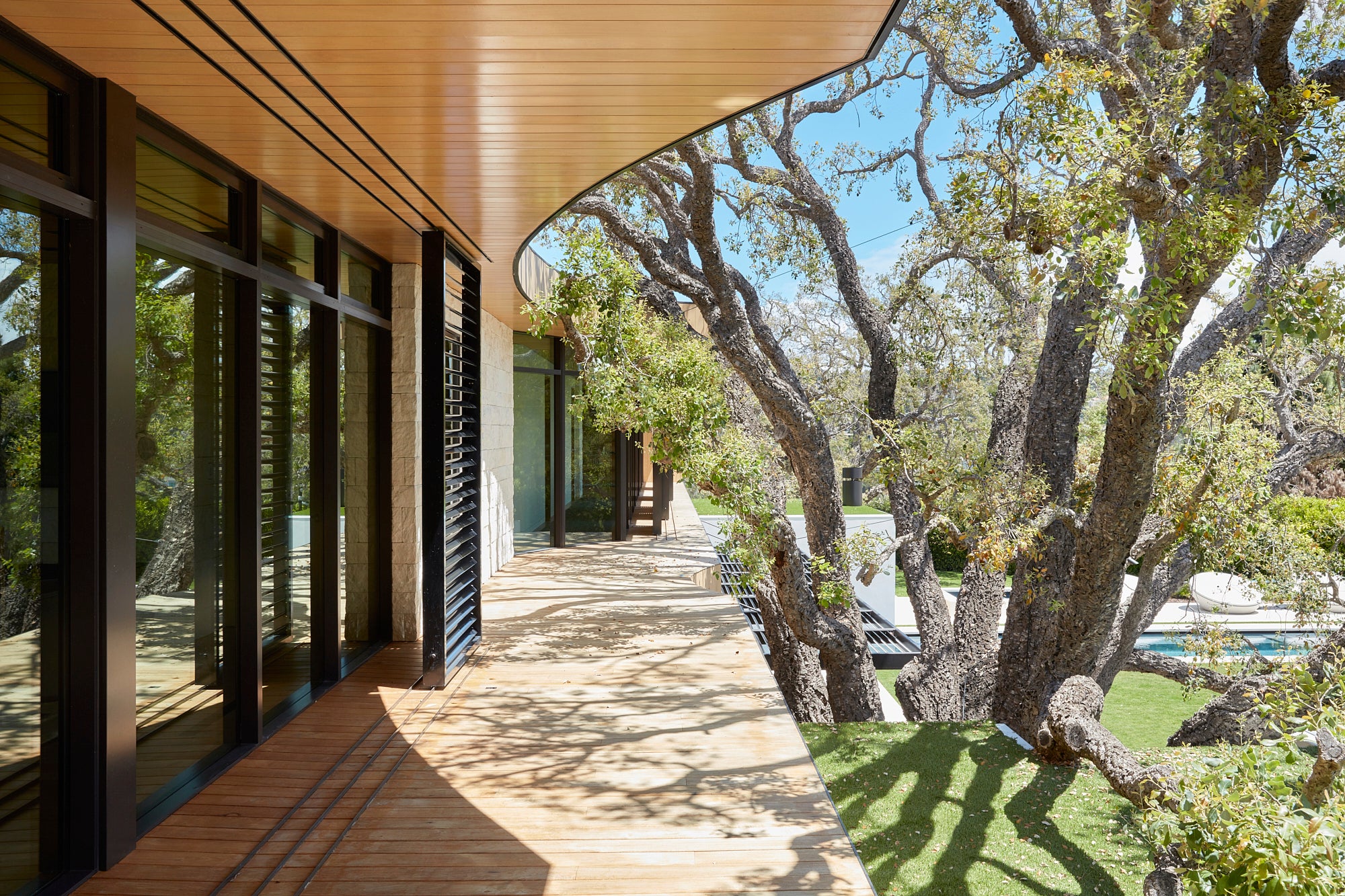 Homes Bringing Trees In