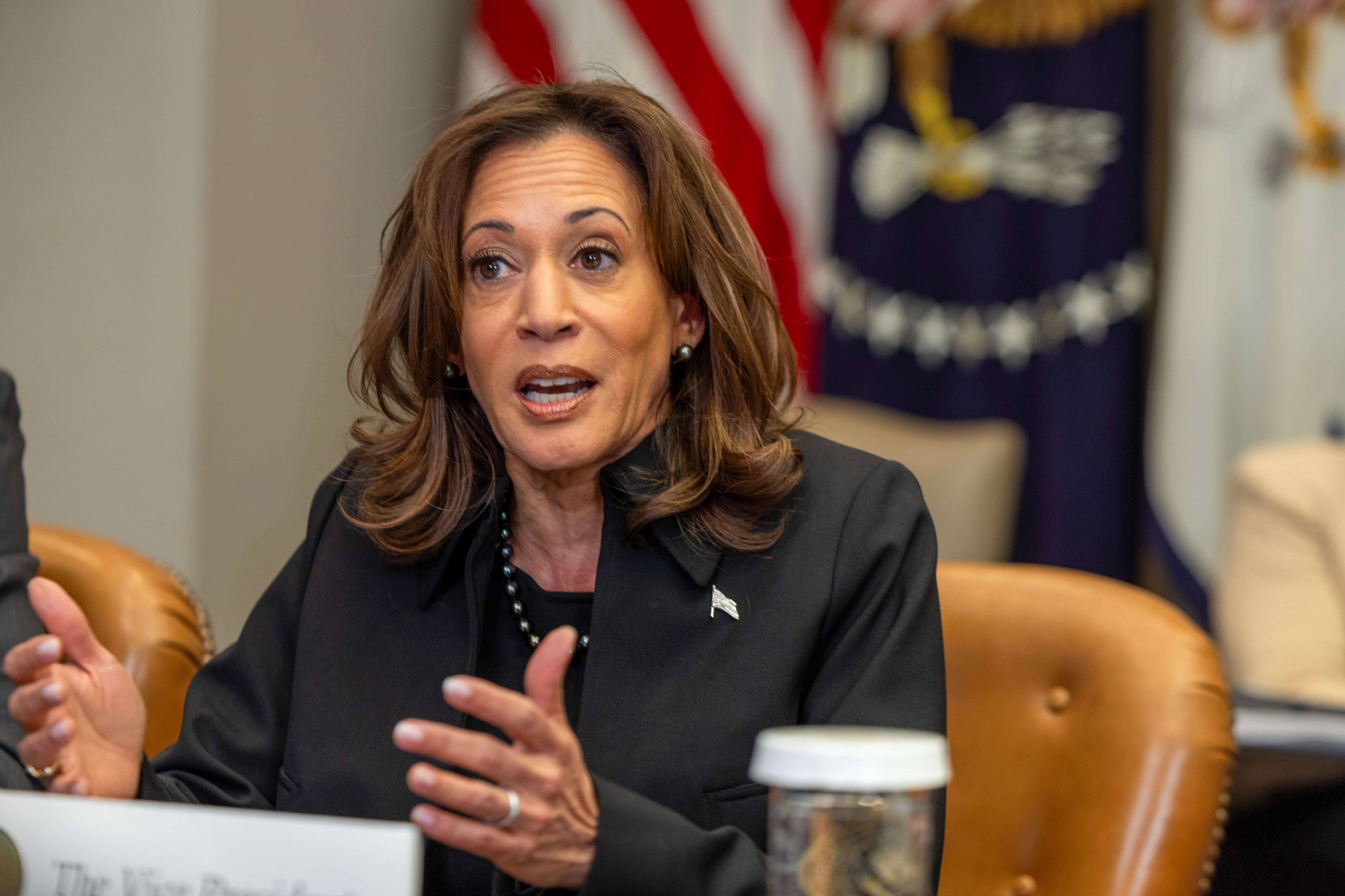 An adviser to Vice President-elect JD Vance claimed that he and Vice President Kamala Harris haven’t spoken since the election.