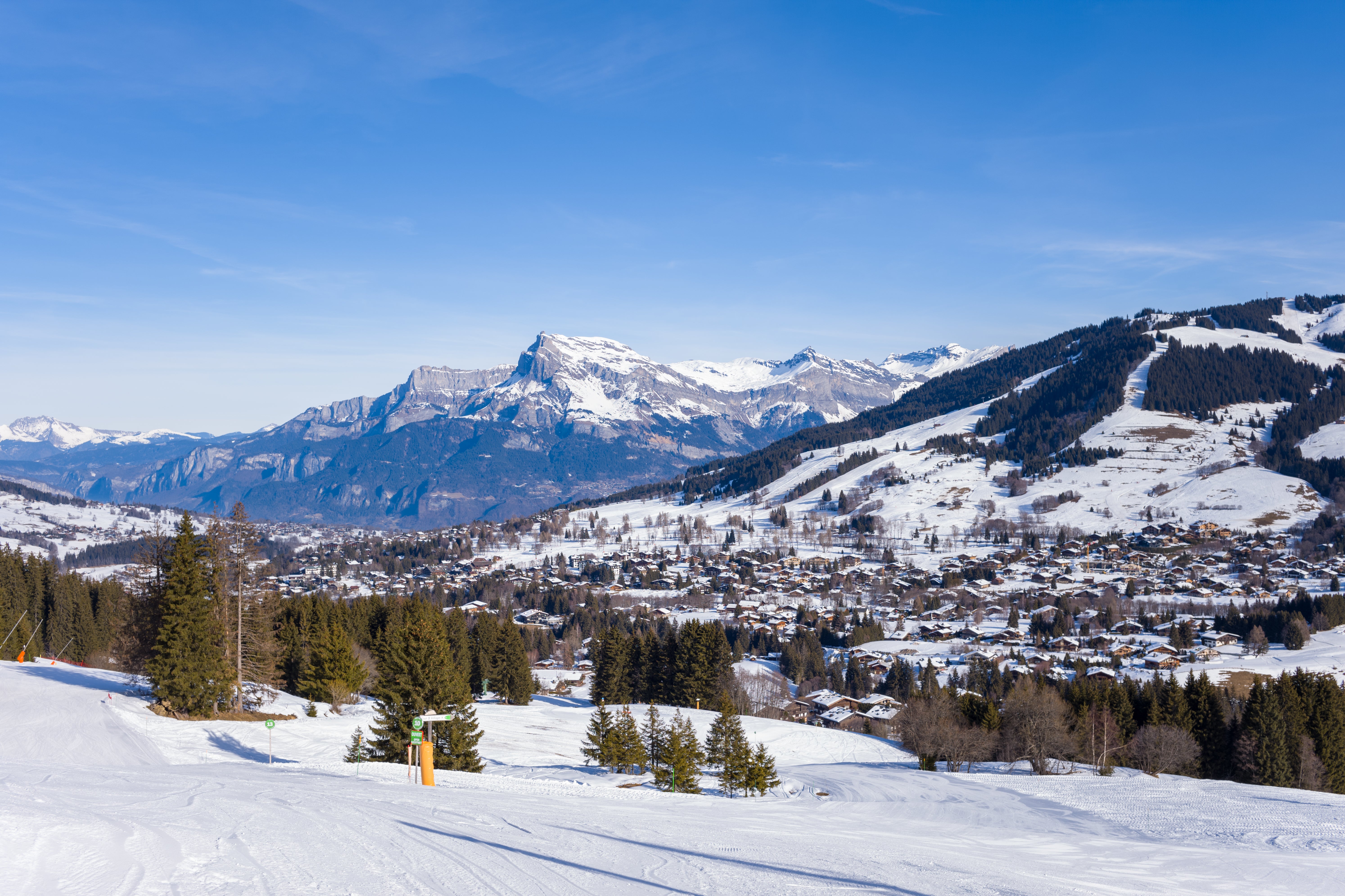 The fatal collision occurred in the French Alps on Tuesday