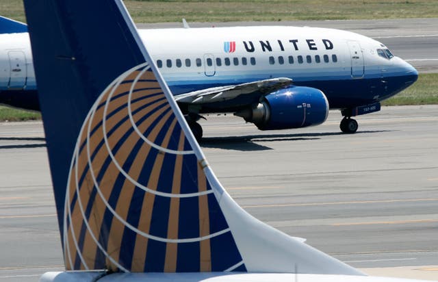 <p>A United Airlines flight struck a coyote at the Chicago O’Hare International Airport </p>