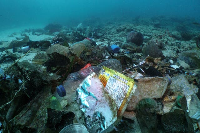 <p>Rubbish on the seabed off the coast of Phuket</p>