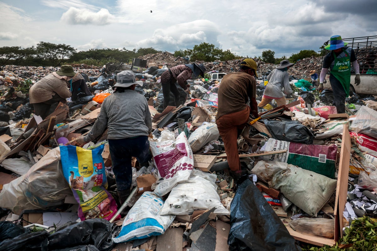 Democracies appear greener by outsourcing pollution to autocratic nations, study finds