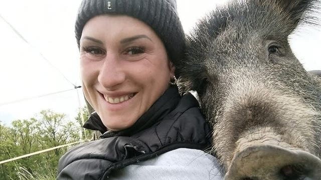 <p>Found as a tiny piglet near garbage bins outside the horse farm of Elodie Cappe in Chaource, central France, in April 2023, ‘Rillette’ has now grown into a large sow </p>
