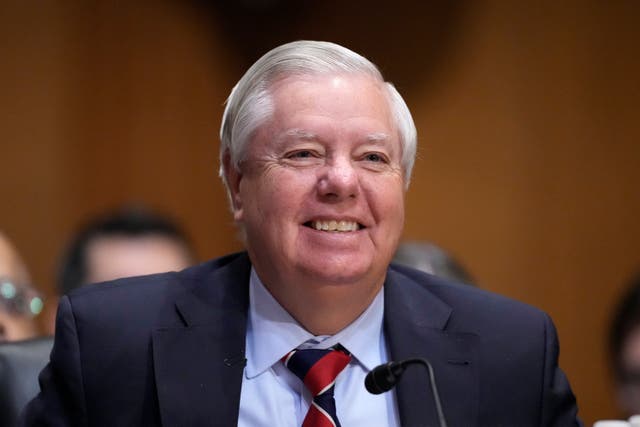 <p>South Carolina Republican Senator Lindsey Graham</p>