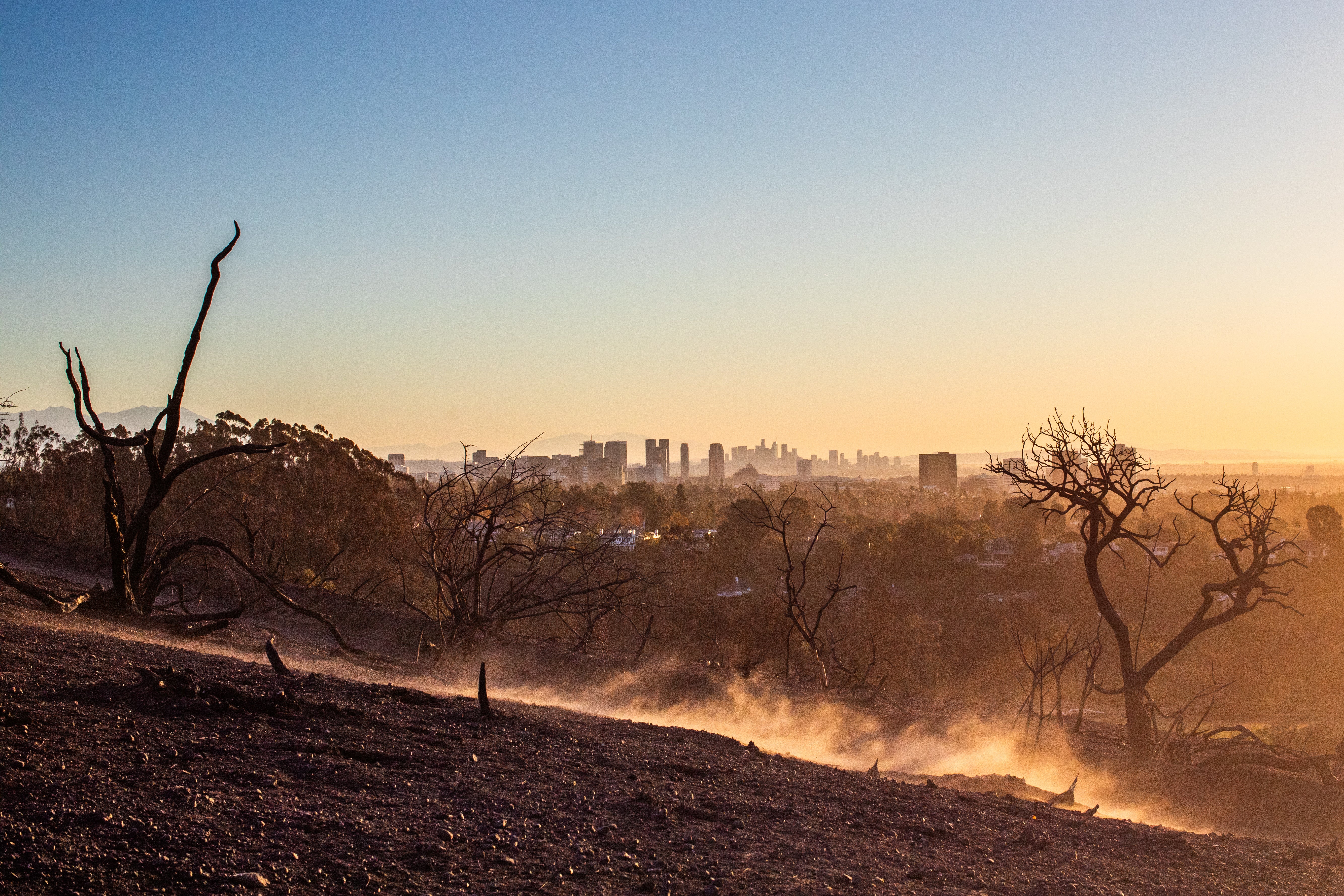 Burned trees from the Palisades Fire are seen from Will Rogers State Park, with the City of Los Angeles in the background, in the Pacific Palisades neighborhood of Los Angeles, California, on Wednesday. The region is now in severe drought after months without rain. Droughts are expected to become more wide-reaching, frequent and extreme