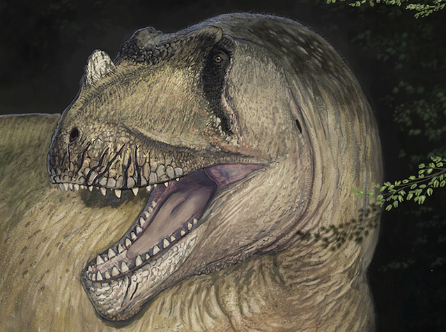 <p>Reconstruction of Tameryraptor markgrafi </p>