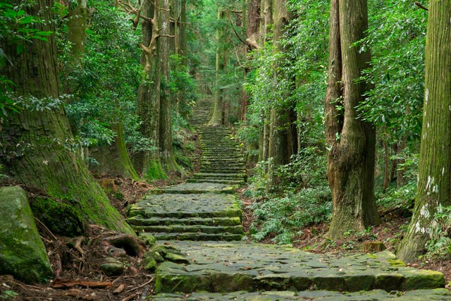 <p>The ancient pilgrimage route weaves through forests and open spaces with mountain vistas</p>