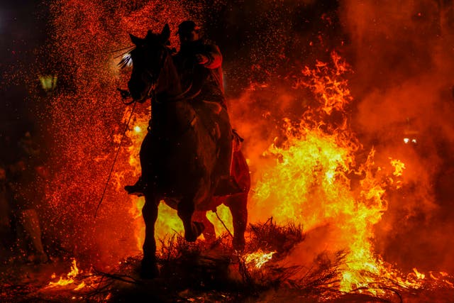 Spain Luminarias Festival