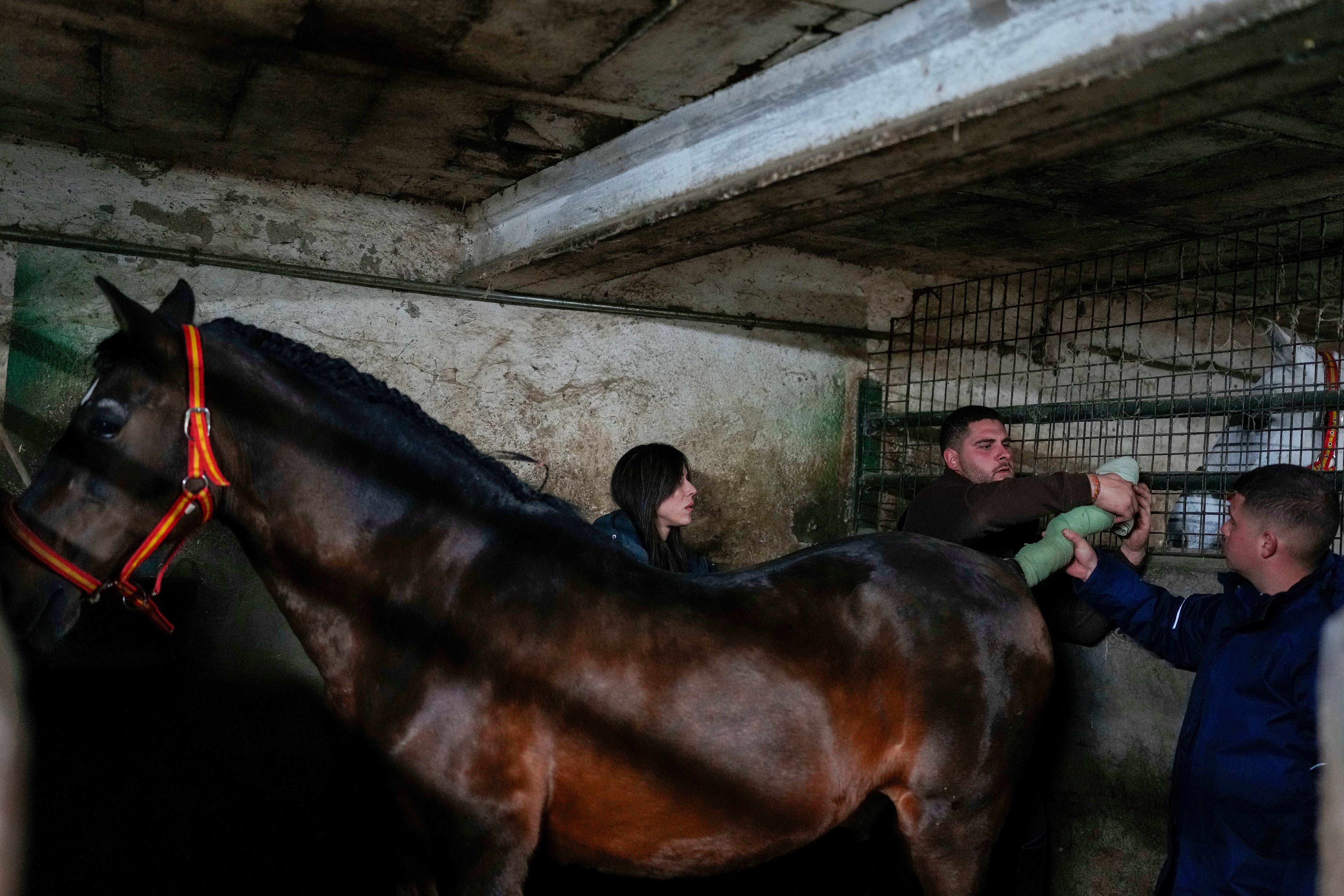 Spain Luminarias Festival