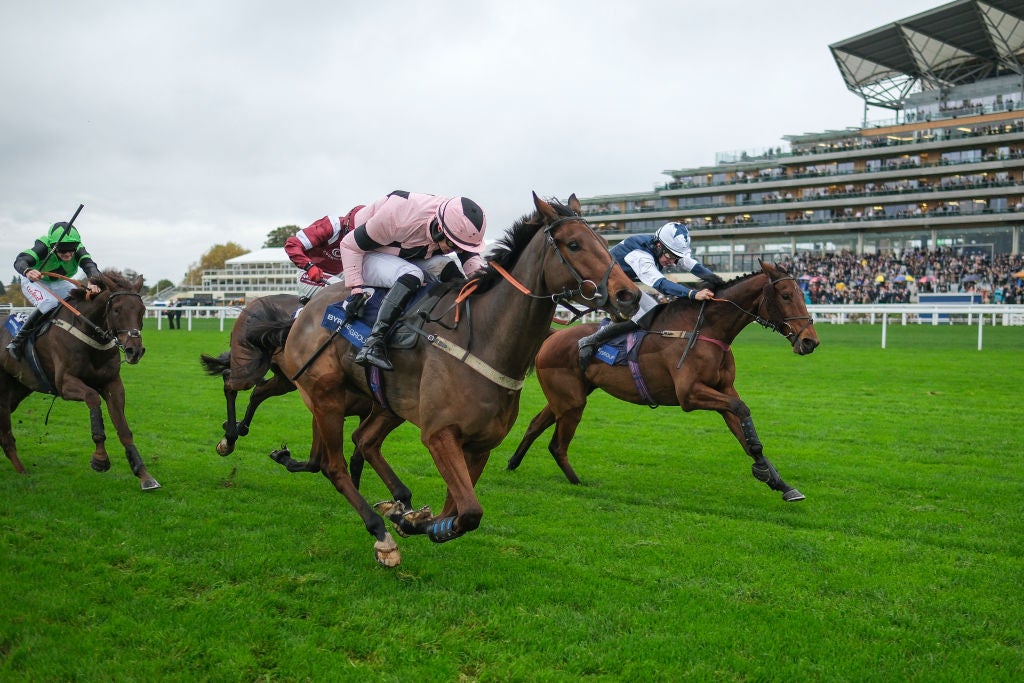 Saturday Ascot tip: Clarence House Chase best bets & odds