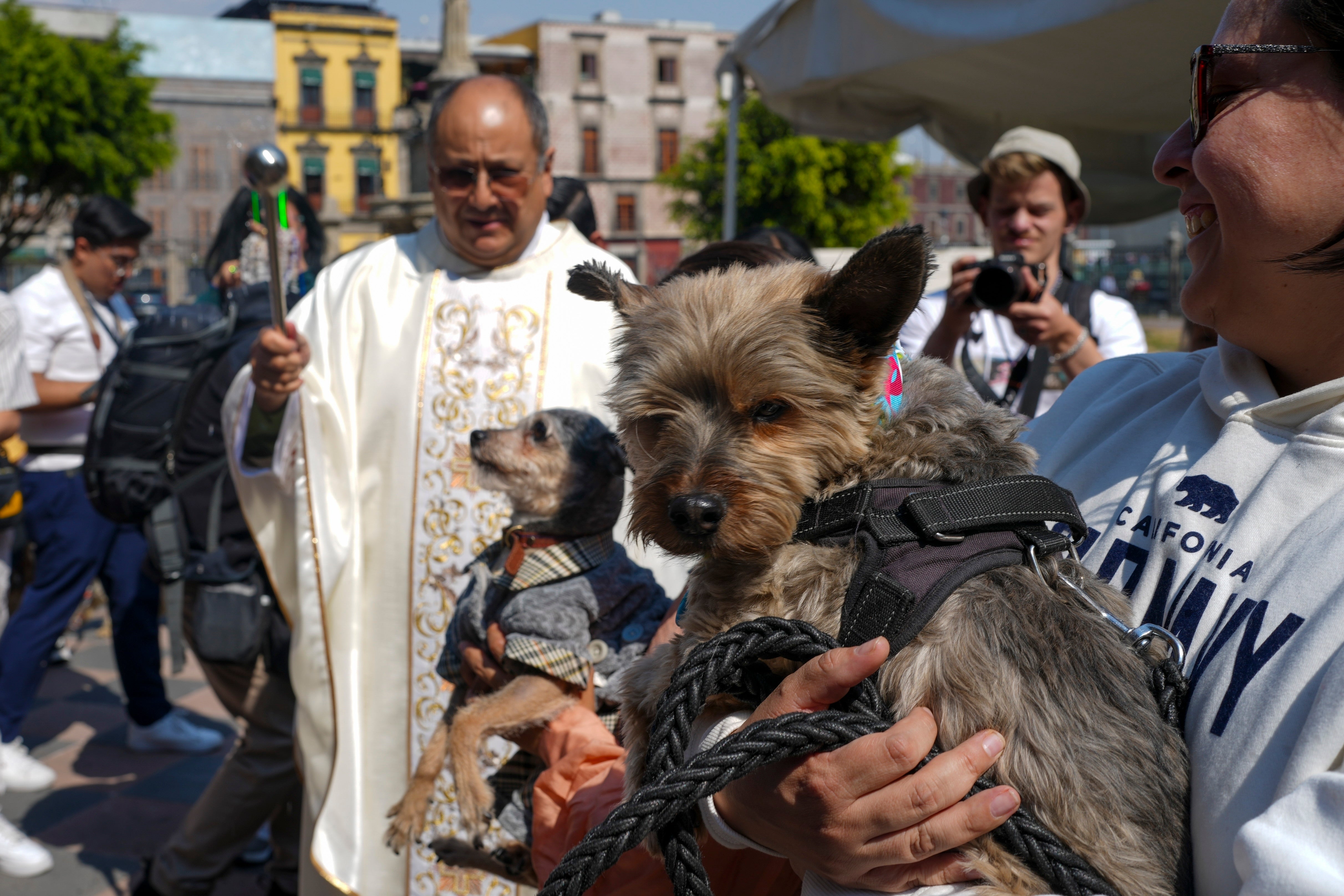 Mexico Blessing of the Pets