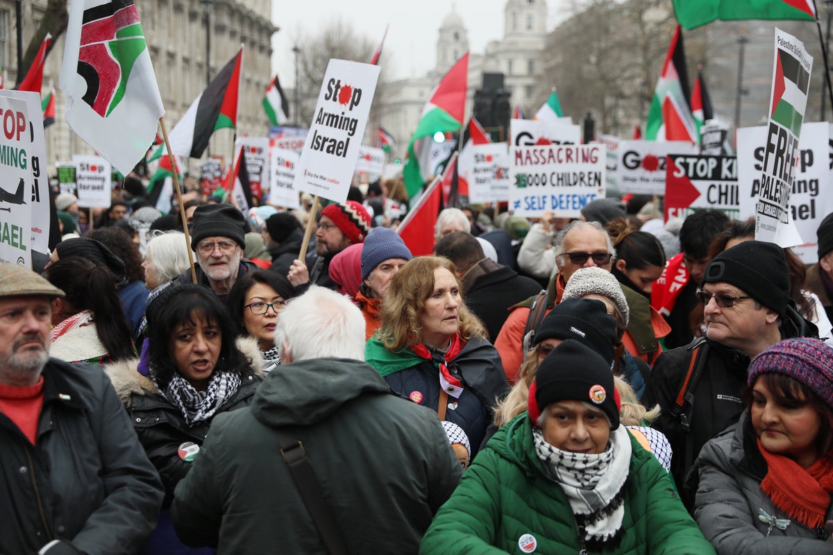 Protesters clash with police at pro-Palestine rally in London ahead of Israel-Hamas ceasefire