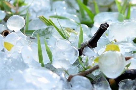 What are snow grains as Met office wa...