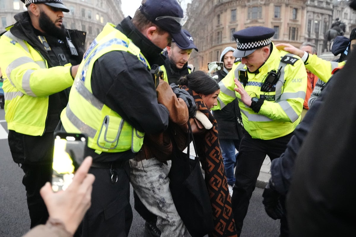 More than 70 arrested at pro-Palestine rally in London ahead of Israel-Hamas ceasefire