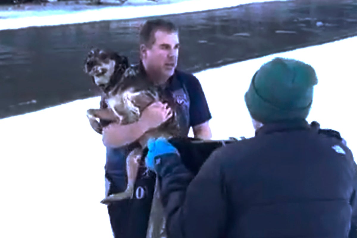 Man's dramatic rescue of dog from freezing river in Vermont caught on video