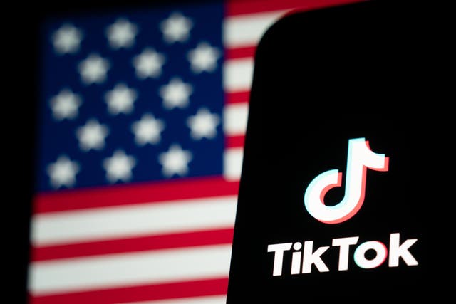 <p>TikTok has gone offline in the United States </p>