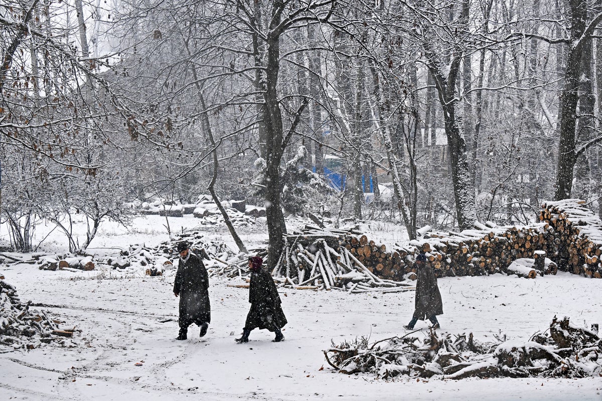 Fear grips remote Kashmir village after mystery illness kills 17 people from three families