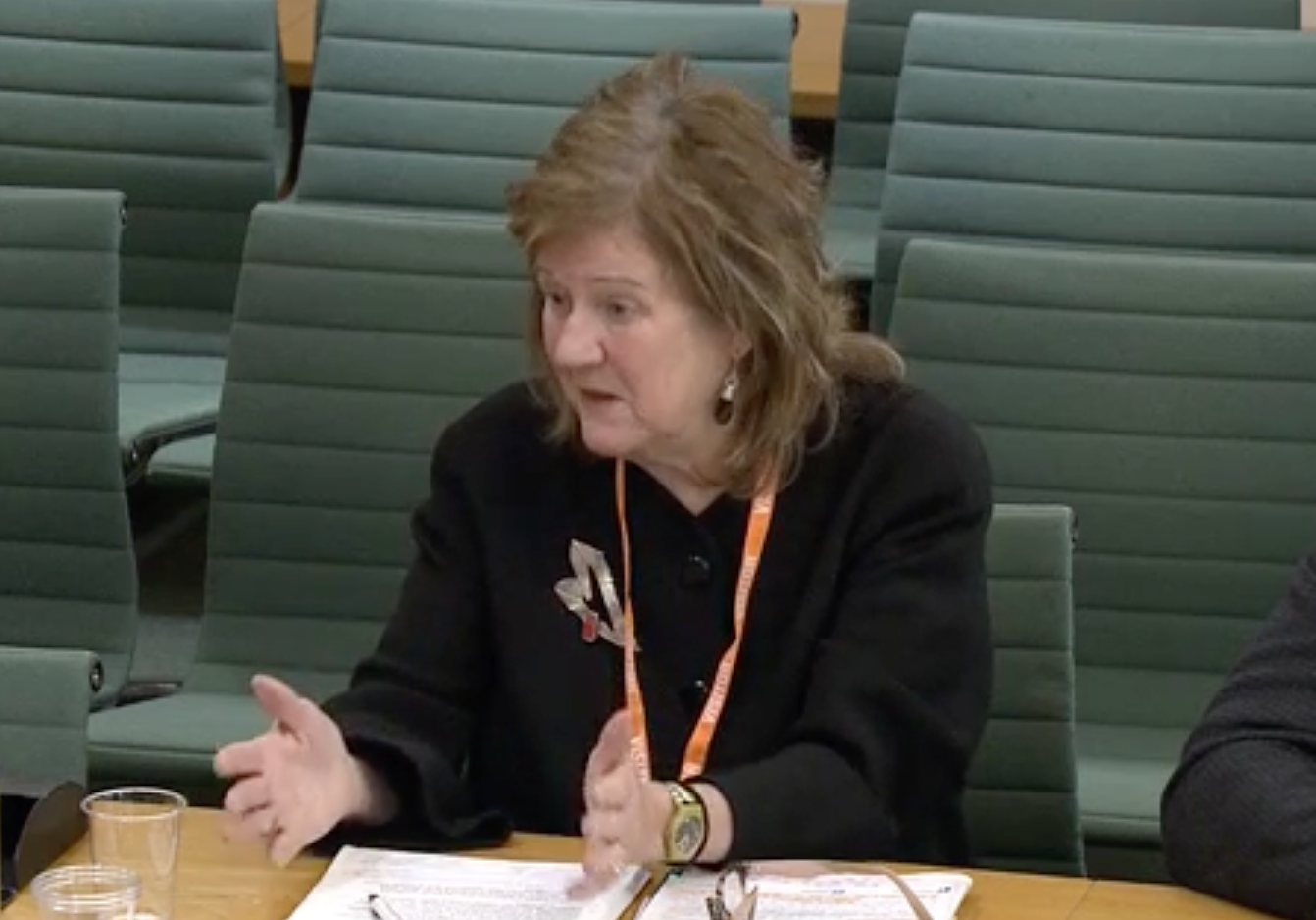 Professor Alexis Jay gave evidence to the Home Affairs select committee on Tuesday