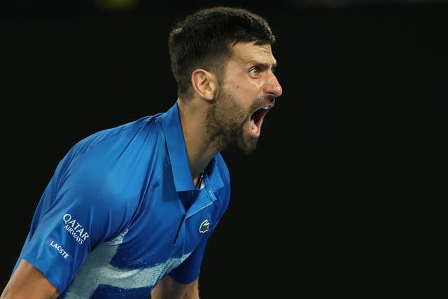 <p>Novak Djokovic roared back to book his place in the Australian Open semi-finals</p>