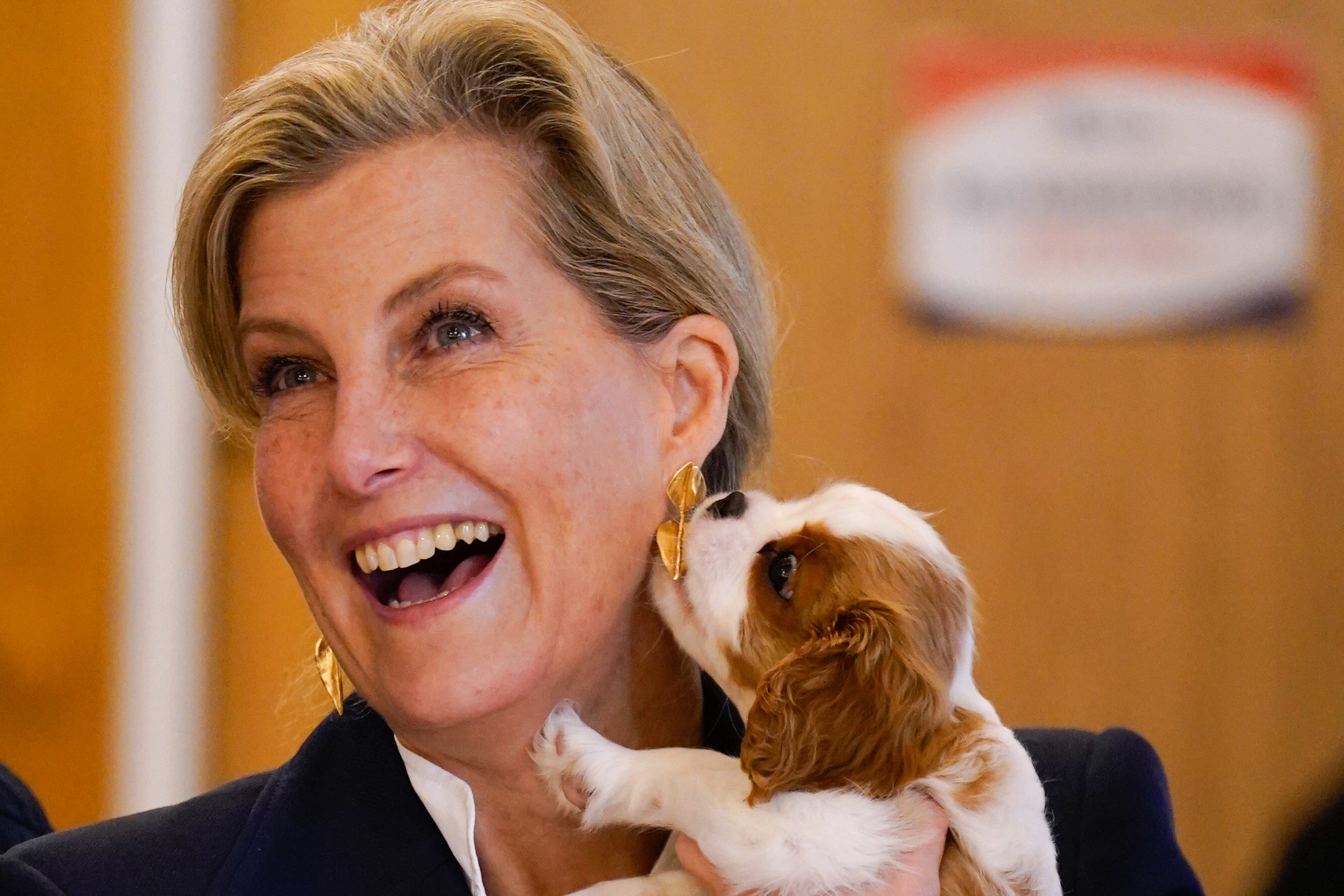The Duchess of Edinburgh was back on royal duty the day after her 60th birthday, cuddling a Cavalier King Charles Spaniel puppy called Lord Louis of Spudringham during a visit to the Dogs for Autism charity in Alton, Hampshire (Andrew Matthews/PA)