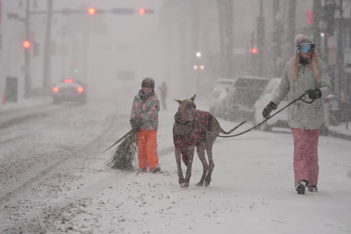 How to survive snow and bitter cold that's reached all the way to the Gulf Coast